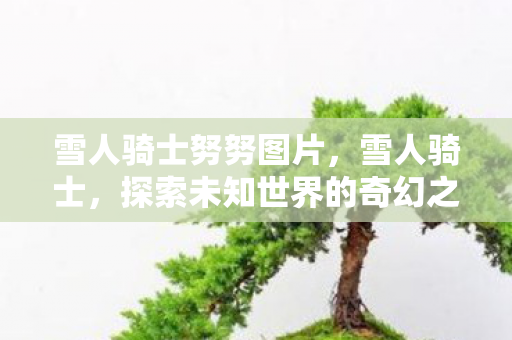 雪人骑士努努图片，雪人骑士，探索未知世界的奇幻之旅