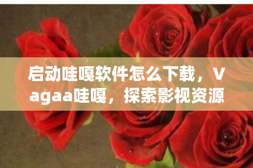 启动哇嘎软件怎么下载，Vagaa哇嘎，探索影视资源的新世界