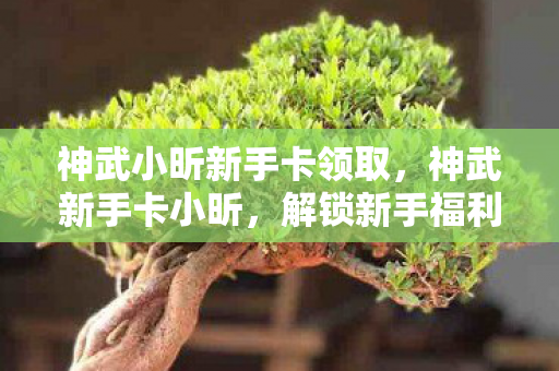 神武小昕新手卡领取，神武新手卡小昕，解锁新手福利，畅游神武世界