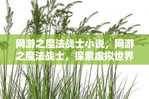 网游之魔法战士小说，网游之魔法战士，探索虚拟世界的无限可能