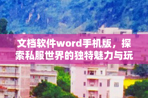 文档软件word手机版，探索私服世界的独特魅力与玩家心声