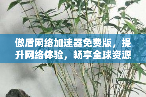 傲盾网络加速器免费版，提升网络体验，畅享全球资源
