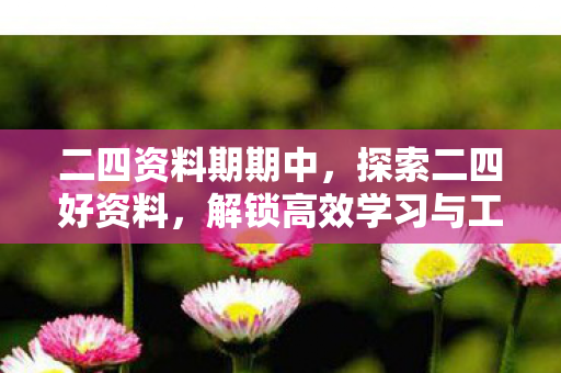 二四资料期期中，探索二四好资料，解锁高效学习与工作的秘密
