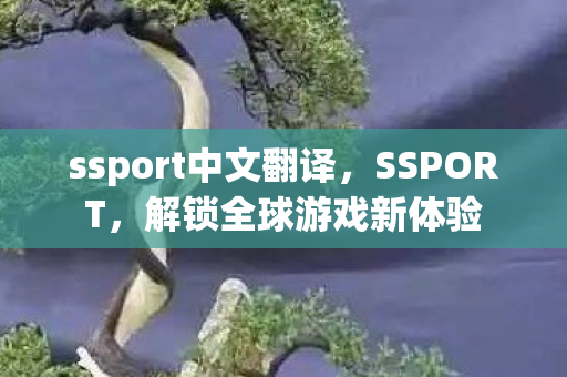 ssport中文翻译，SSPORT，解锁全球游戏新体验