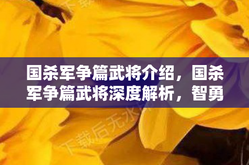 国杀军争篇武将介绍，国杀军争篇武将深度解析，智勇双全，策略致胜