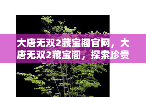 大唐无双2藏宝阁官网，大唐无双2藏宝阁，探索珍贵宝藏的奇幻之旅