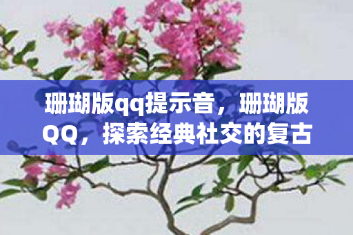 珊瑚版qq提示音，珊瑚版QQ，探索经典社交的复古风情