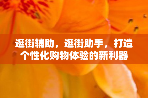 逛街辅助，逛街助手，打造个性化购物体验的新利器
