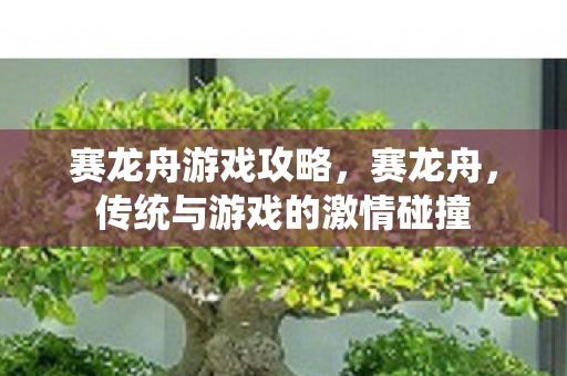 赛龙舟游戏攻略，赛龙舟，传统与游戏的激情碰撞