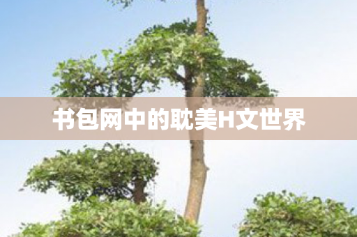 书包网中的耽美H文世界