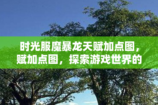 时光服魔暴龙天赋加点图，赋加点图，探索游戏世界的多元体验