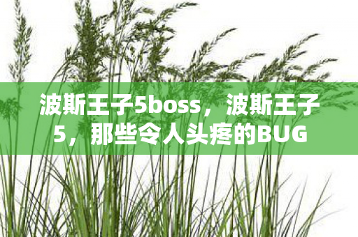 波斯王子5boss，波斯王子5，那些令人头疼的BUG