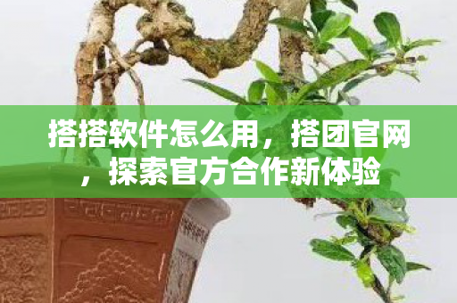 搭搭软件怎么用，搭团官网，探索官方合作新体验