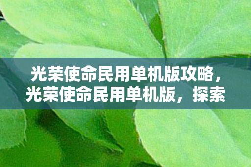 光荣使命民用单机版攻略，光荣使命民用单机版，探索游戏世界的无限可能