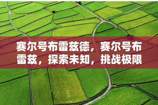 赛尔号布雷兹德，赛尔号布雷兹，探索未知，挑战极限