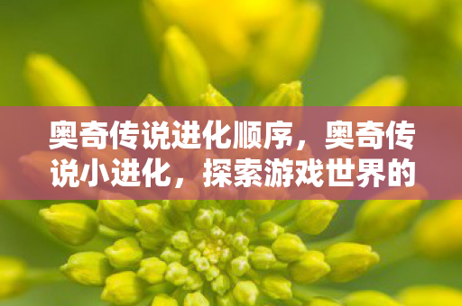 奥奇传说进化顺序，奥奇传说小进化，探索游戏世界的奇妙旅程