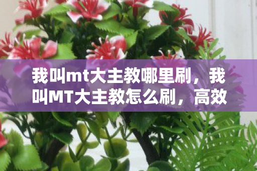 我叫mt大主教哪里刷，我叫MT大主教怎么刷，高效提升与策略指南