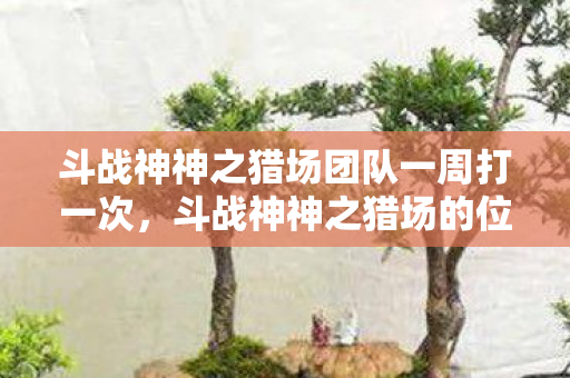 斗战神神之猎场团队一周打一次，斗战神神之猎场的位置解析