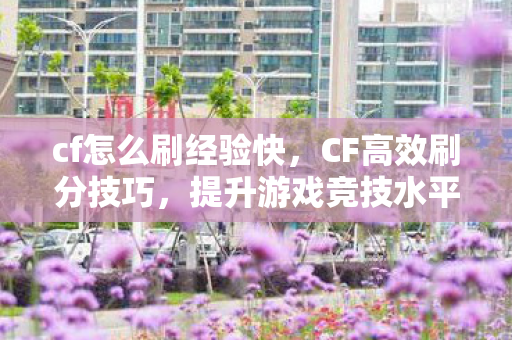 cf怎么刷经验快，CF高效刷分技巧，提升游戏竞技水平的有效方法