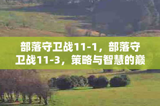 部落守卫战11-1，部落守卫战11-3，策略与智慧的巅峰对决