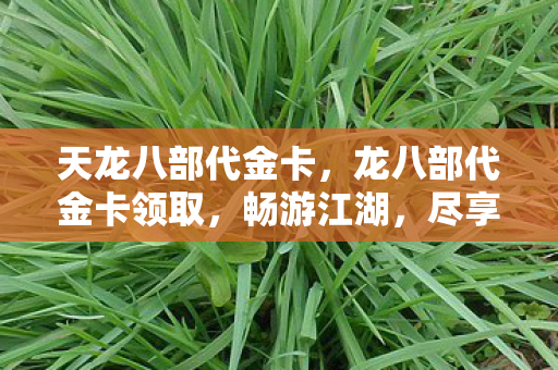天龙八部代金卡，龙八部代金卡领取，畅游江湖，尽享特权