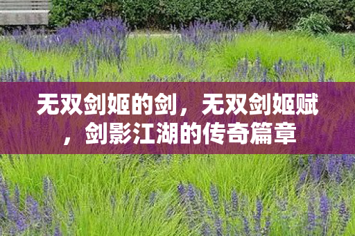 无双剑姬的剑，无双剑姬赋，剑影江湖的传奇篇章