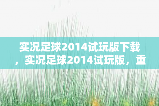 实况足球2014试玩版下载，实况足球2014试玩版，重温经典，感受足球魅力