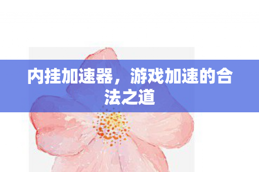 内挂加速器，游戏加速的合法之道