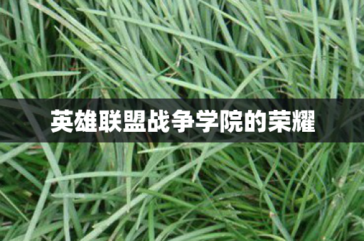 英雄联盟战争学院的荣耀
