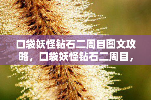 口袋妖怪钻石二周目图文攻略，口袋妖怪钻石二周目，深度解析与攻略指南