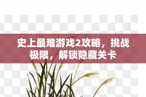 史上最难游戏2攻略，挑战极限，解锁隐藏关卡