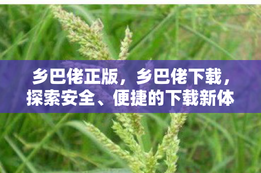 乡巴佬正版，乡巴佬下载，探索安全、便捷的下载新体验