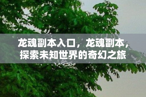 龙魂副本入口，龙魂副本，探索未知世界的奇幻之旅