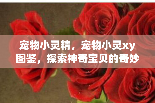 宠物小灵精，宠物小灵xy图鉴，探索神奇宝贝的奇妙世界