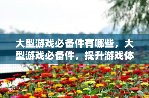 大型游戏必备件有哪些，大型游戏必备件，提升游戏体验的关键要素