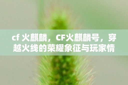 cf 火麒麟，CF火麒麟号，穿越火线的荣耀象征与玩家情怀