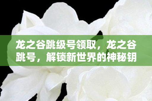 龙之谷跳级号领取，龙之谷跳号，解锁新世界的神秘钥匙