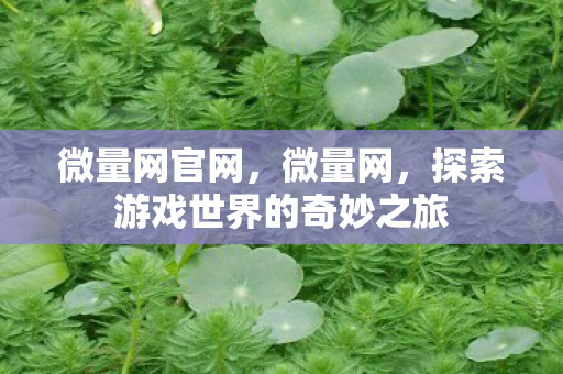 微量网官网，微量网，探索游戏世界的奇妙之旅