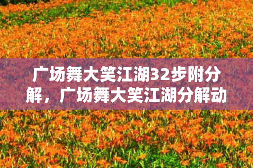 广场舞大笑江湖32步附分解，广场舞大笑江湖分解动作详解