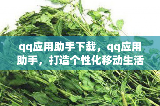 qq应用助手下载，qq应用助手，打造个性化移动生活的新利器