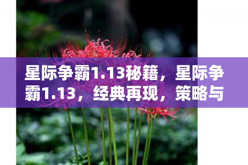 星际争霸1.13秘籍，星际争霸1.13，经典再现，策略与激情的碰撞
