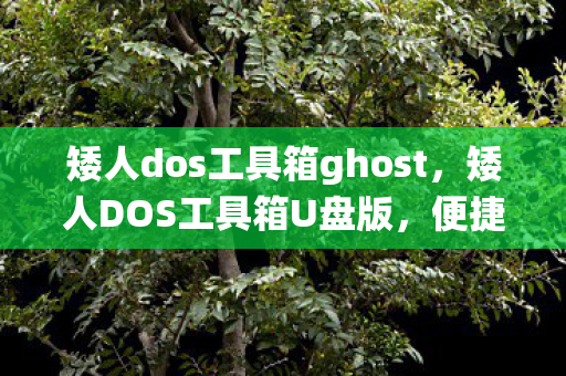 矮人dos工具箱ghost，矮人DOS工具箱U盘版，便捷高效的系统维护利器