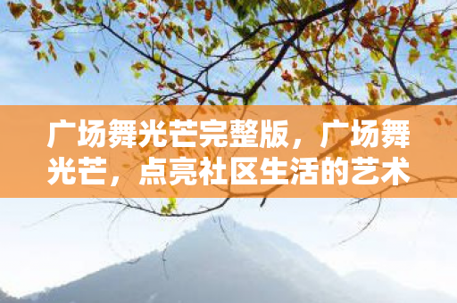 广场舞光芒完整版，广场舞光芒，点亮社区生活的艺术之光