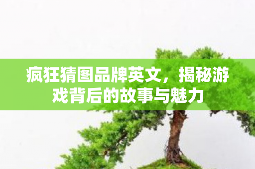 疯狂猜图品牌英文,揭秘游戏背后的故事与魅力 疯狂猜图品牌英文,揭秘游戏背后的故事与魅力