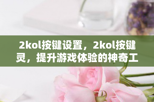 2kol按键设置，2kol按键灵，提升游戏体验的神奇工具