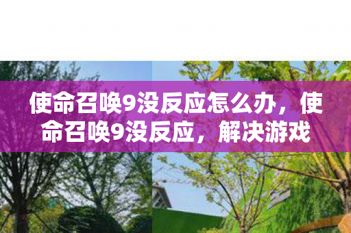 使命召唤9没反应怎么办，使命召唤9没反应，解决游戏启动问题的全面指南