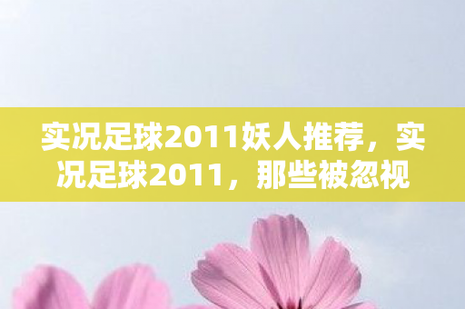 实况足球2011妖人推荐，实况足球2011，那些被忽视的妖人新星