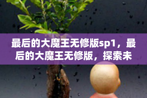 最后的大魔王无修版sp1，最后的大魔王无修版，探索未知世界的奇幻之旅
