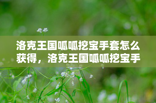 洛克王国呱呱挖宝手套怎么获得，洛克王国呱呱挖宝手套，挖掘宝藏的神奇工具