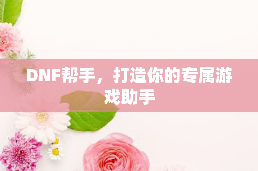 DNF帮手，打造你的专属游戏助手